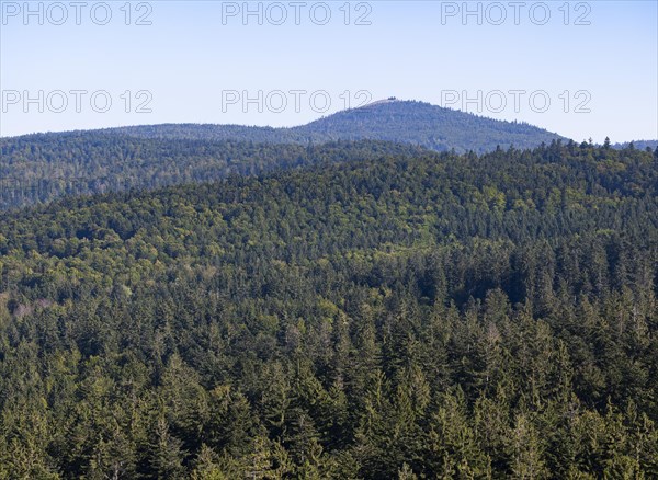 View from the tree top walk