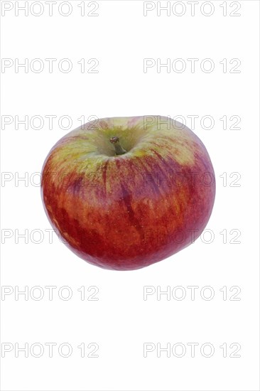Cortland apple