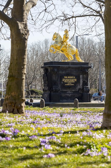 Statue