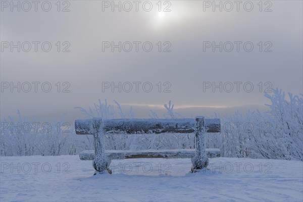 Bench in the morning in winter