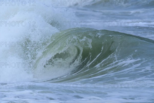 Breaking Wave