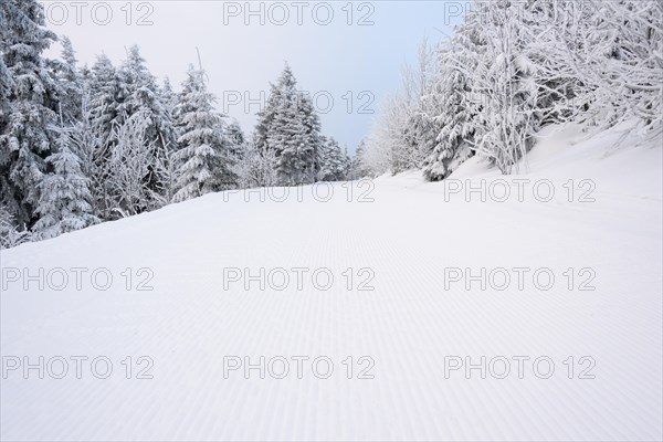 Ski slope in the morning