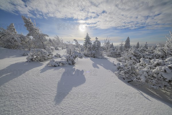 Snow covered winter landscape with sun