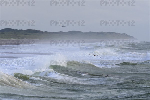 Breaking Wave
