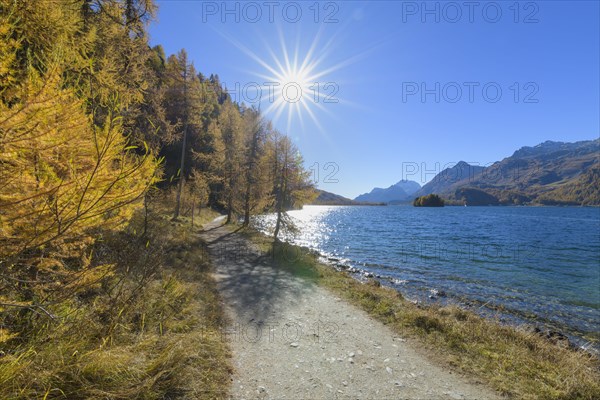 Path with colorful larch trees and sun in autumn