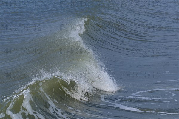 Breaking Wave