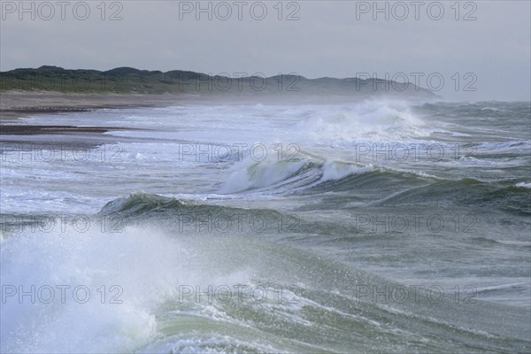 Breaking Wave