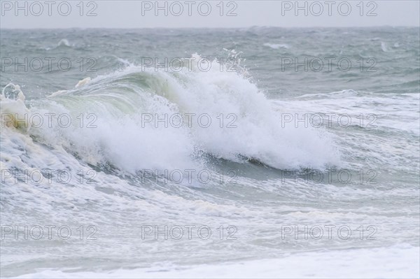 Breaking Wave