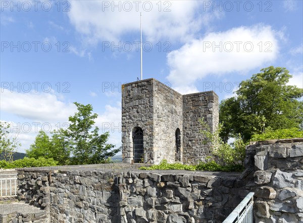 Castle ruins