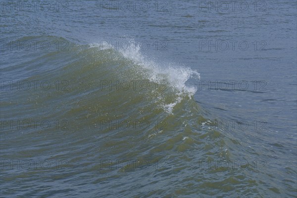 Breaking Wave