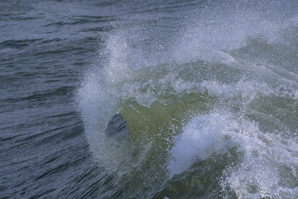 Breaking Wave