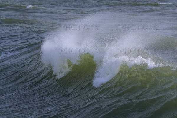 Breaking Wave