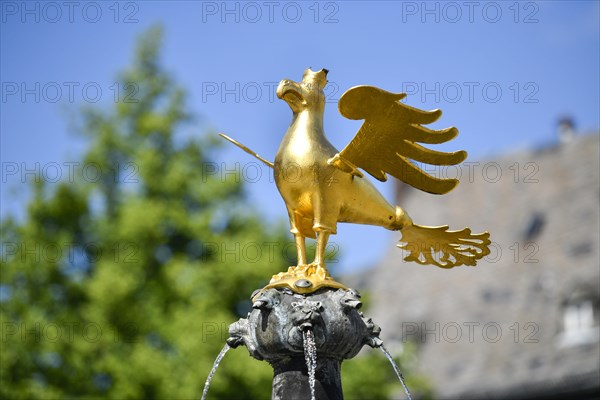 Market fountain with golden eagle