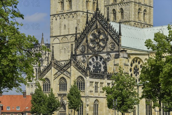 St. Paul's Cathedral