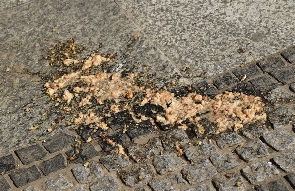 Vomit
