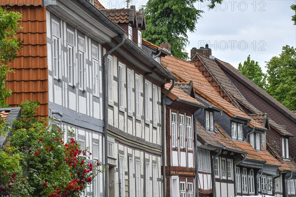 Half-timbered houses