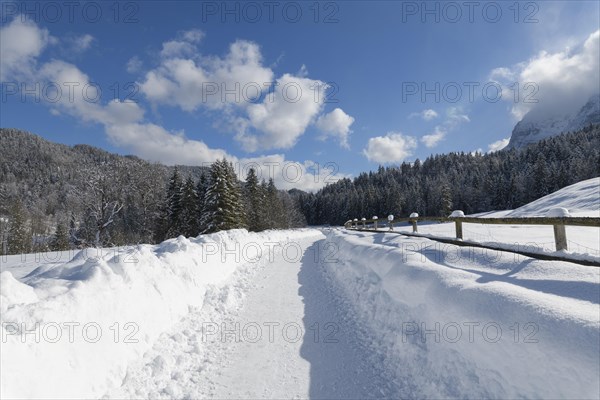 Path in winter