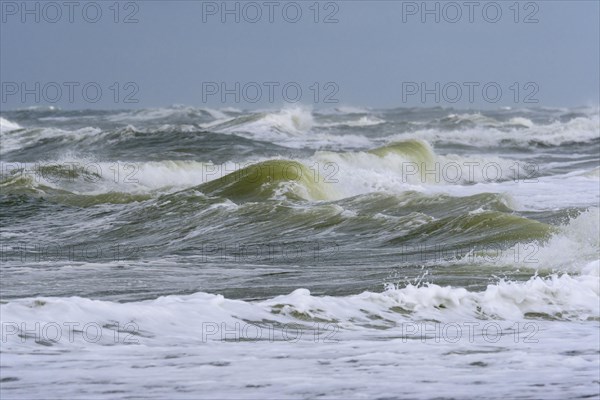 Breaking Wave