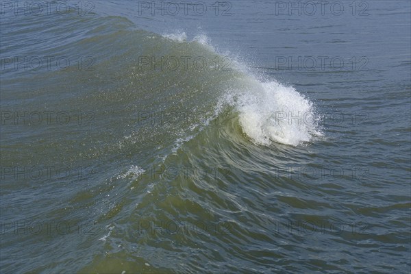 Breaking Wave