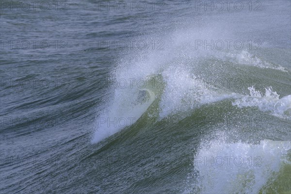 Breaking Wave