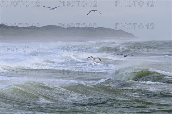 Breaking Wave
