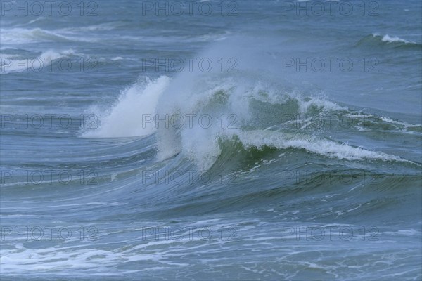 Breaking Wave