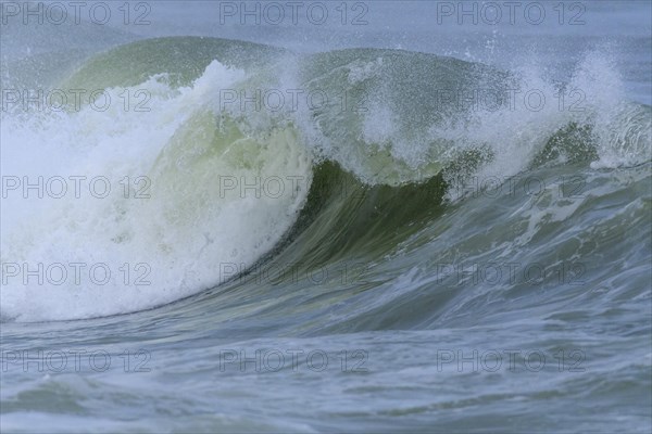 Breaking Wave