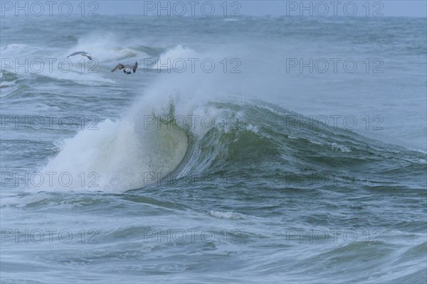 Breaking Wave