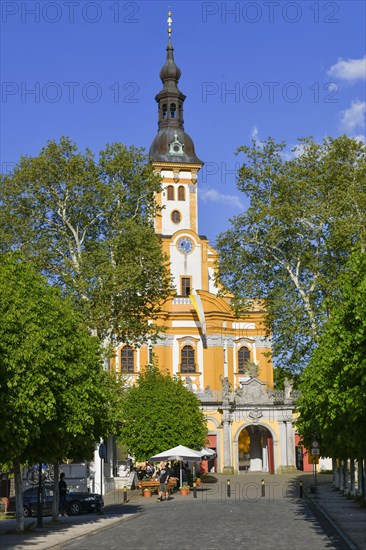 Neuzelle Abbey Church