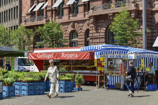 Weekly market