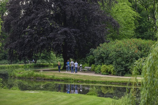 Palace gardens