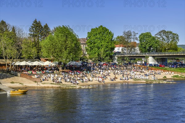 Bodega Beach Club