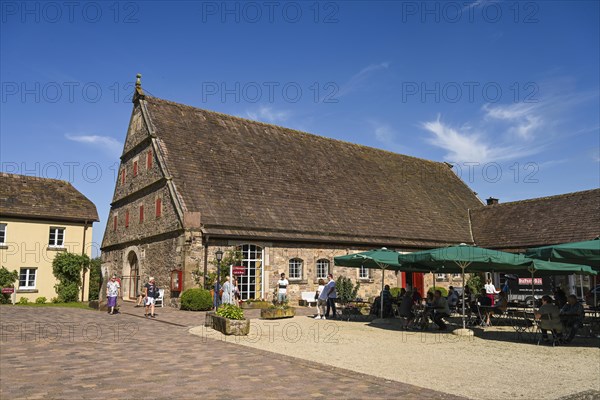 Farmyard