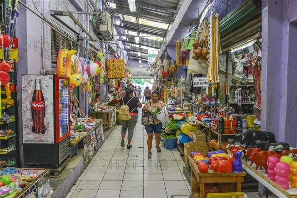 Market Mercado Lucas de Galvez