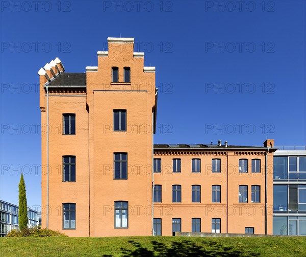 Directors villa
