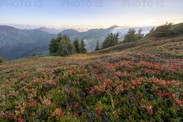 Fog in the high valley on an autumn evening at Potlakopf