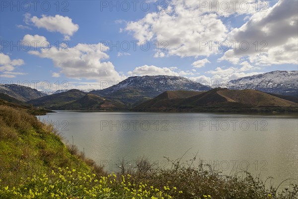 Spring in Crete