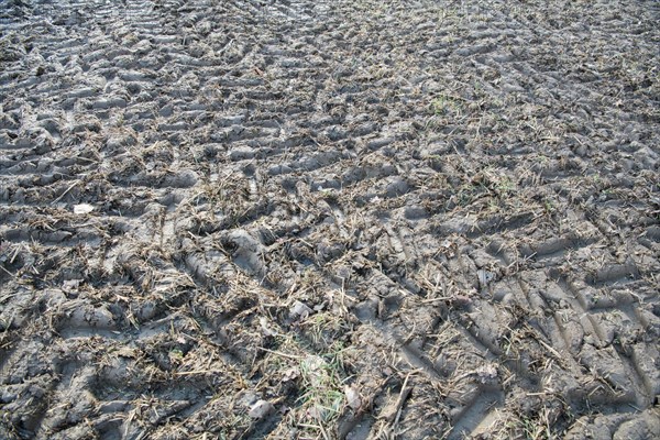 Soil compaction in the field