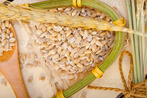 Organic barley grains over rustic wood table macro closeup