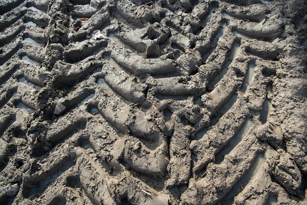 Soil compaction in the field