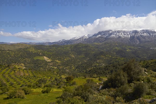 Spring in Crete