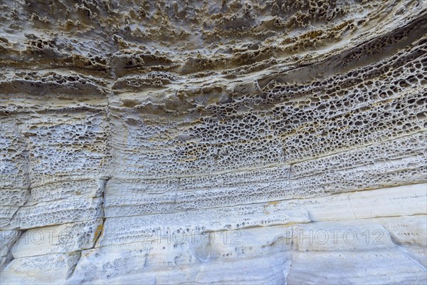 Rock on coast with honeycomb weathering