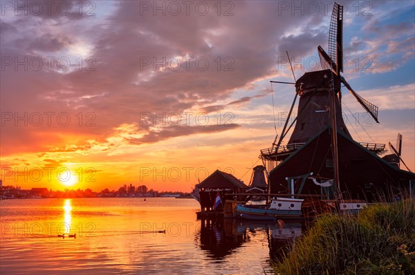Netherlands rural scene