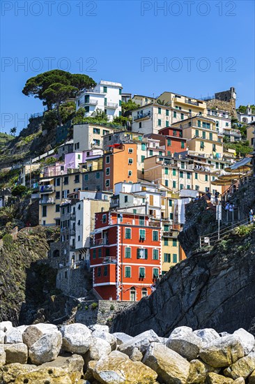 The village of Riomaggiore with its nested pastel-coloured houses built into the hillside