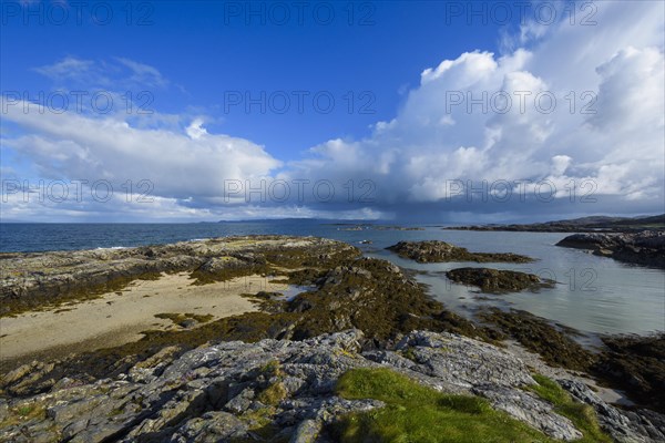 Scottish coast in spring
