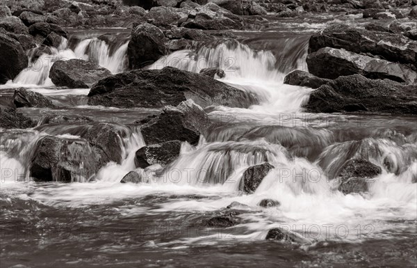 Mountain stream flows over moss-covered stones