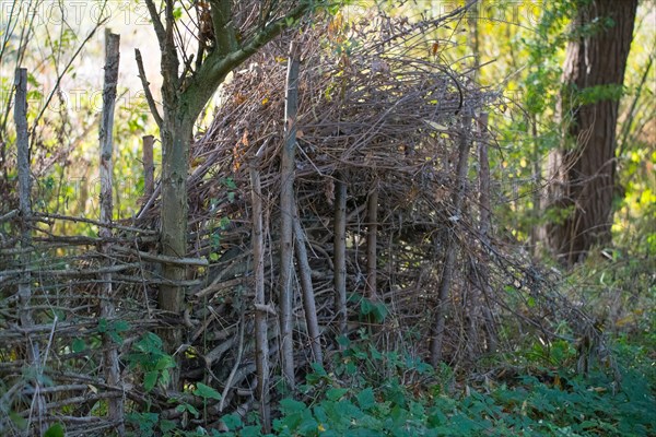 Deadwood hedge in the nature garden