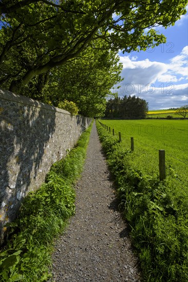 Path in countryside