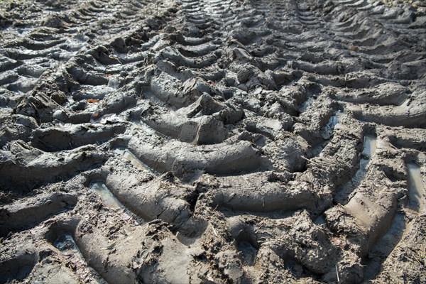 Soil compaction in the field