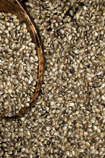 Hemp